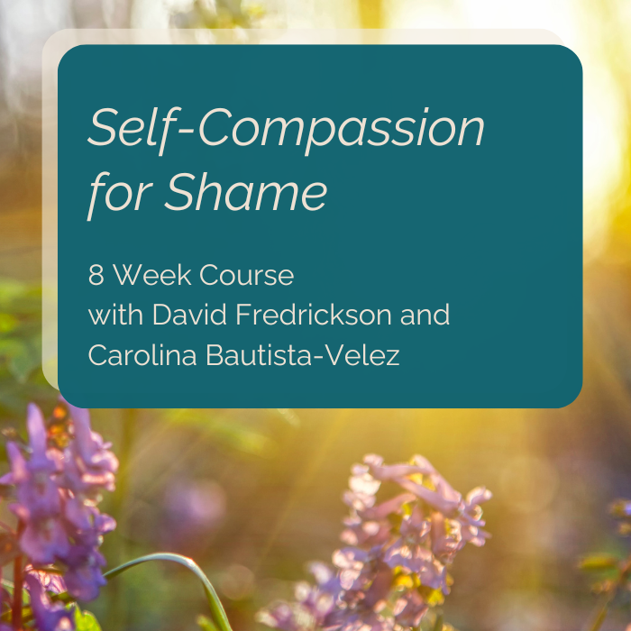 August 1, Thursdays 9-11am PT, Self-Compassion for Shame 8 Week Course